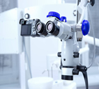 endodonti nedir